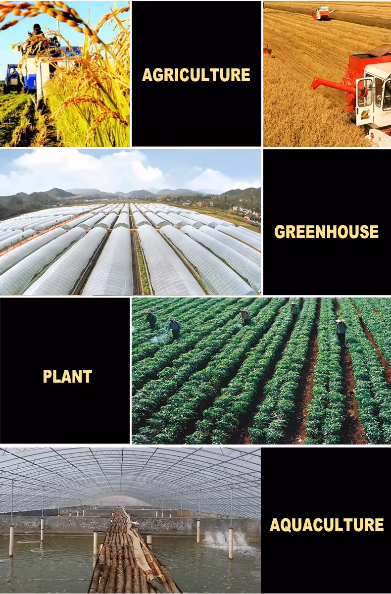 Greenhouse Film.avif