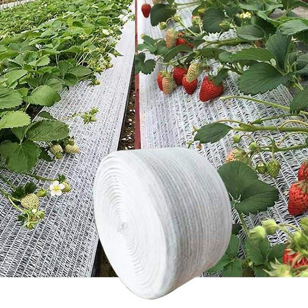 New Design 100% Virgin Hdpe Greenhouse Plant Strawberry Netting Knitted Agricultural White Shade Net Rolls