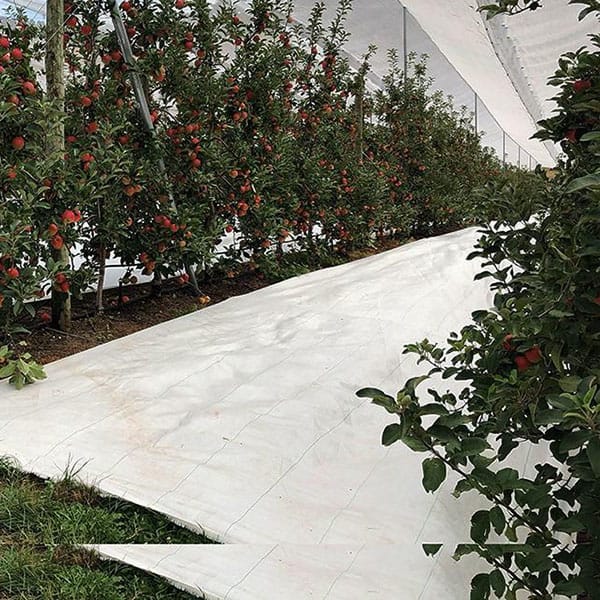 100gsm White Woven Weed Mat Anti Grass Fabric Light Reflective Mat For Apple Orchard
