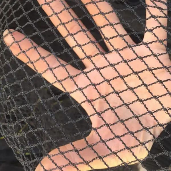 Best Seller Farm Orchard Garden Protection Bird Net Hdpe Plastic Net For Birds