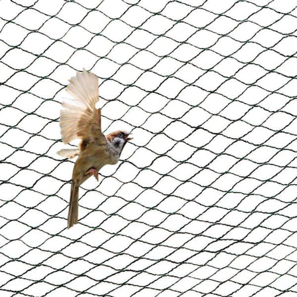 China Supplier Bird Netting Anti-bird Net For Bird Poultry