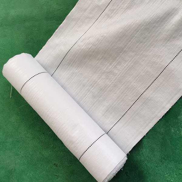 Factory Direct Greenhouse White Anti Grass PE PP Woven Fabric Landscape Ground Cover Weed Mat