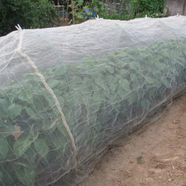 Garden Bee Plastic UV Protection Anti Proof Protection Control Mesh Agriculture Insect Mesh Proof Net For Greenhouse