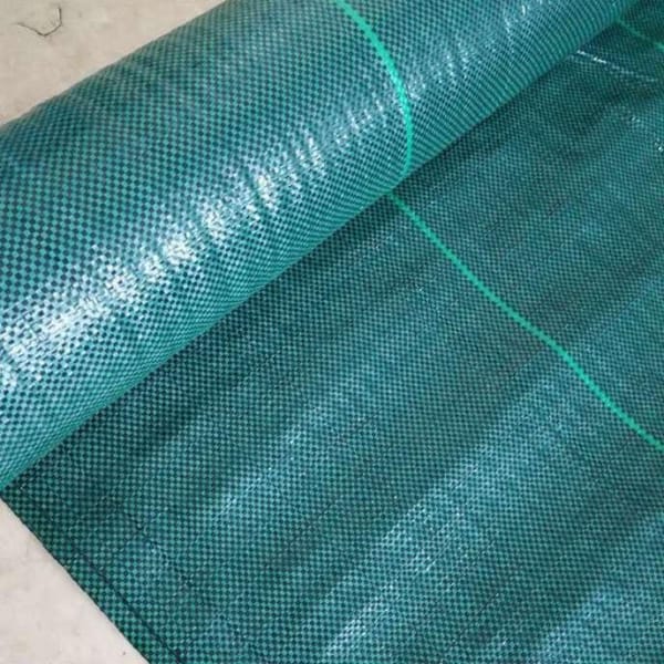 Green Weed Mat Ground Cover For Stopping Weed From Growing