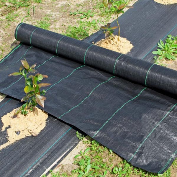 Polypropylene Ground Cover Black Weed Barrier Fabric With UV Protection