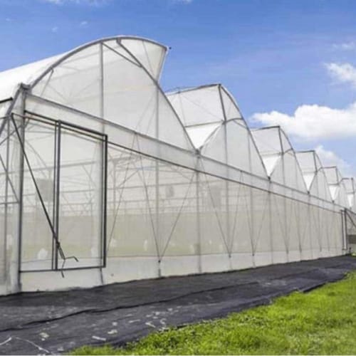 Top Quality 50mesh Greenhouse Anti Insect Net Factory Supply