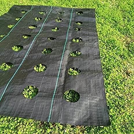 Ground Cover Weed Control PP Woven Weed Mat Ground Cover