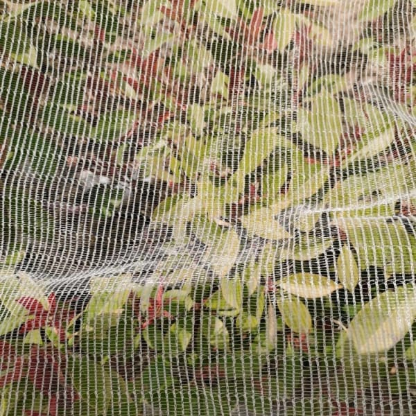 Cost-effective Anti Bee Net