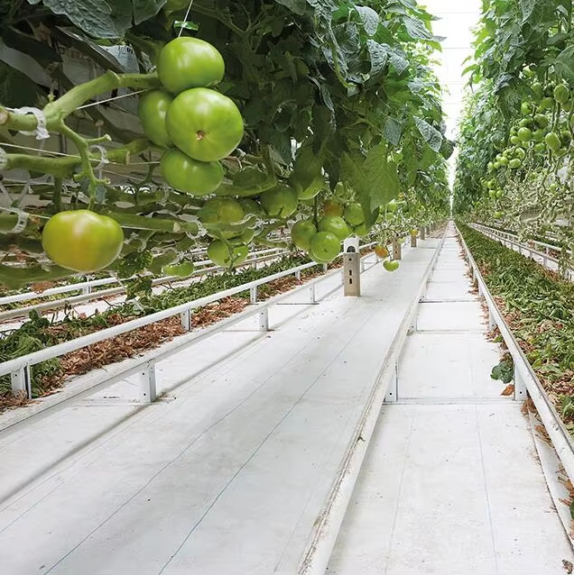 White Reflective Woven Polypropylene Fabric Weed Barrier Ground Cover Weed Mat