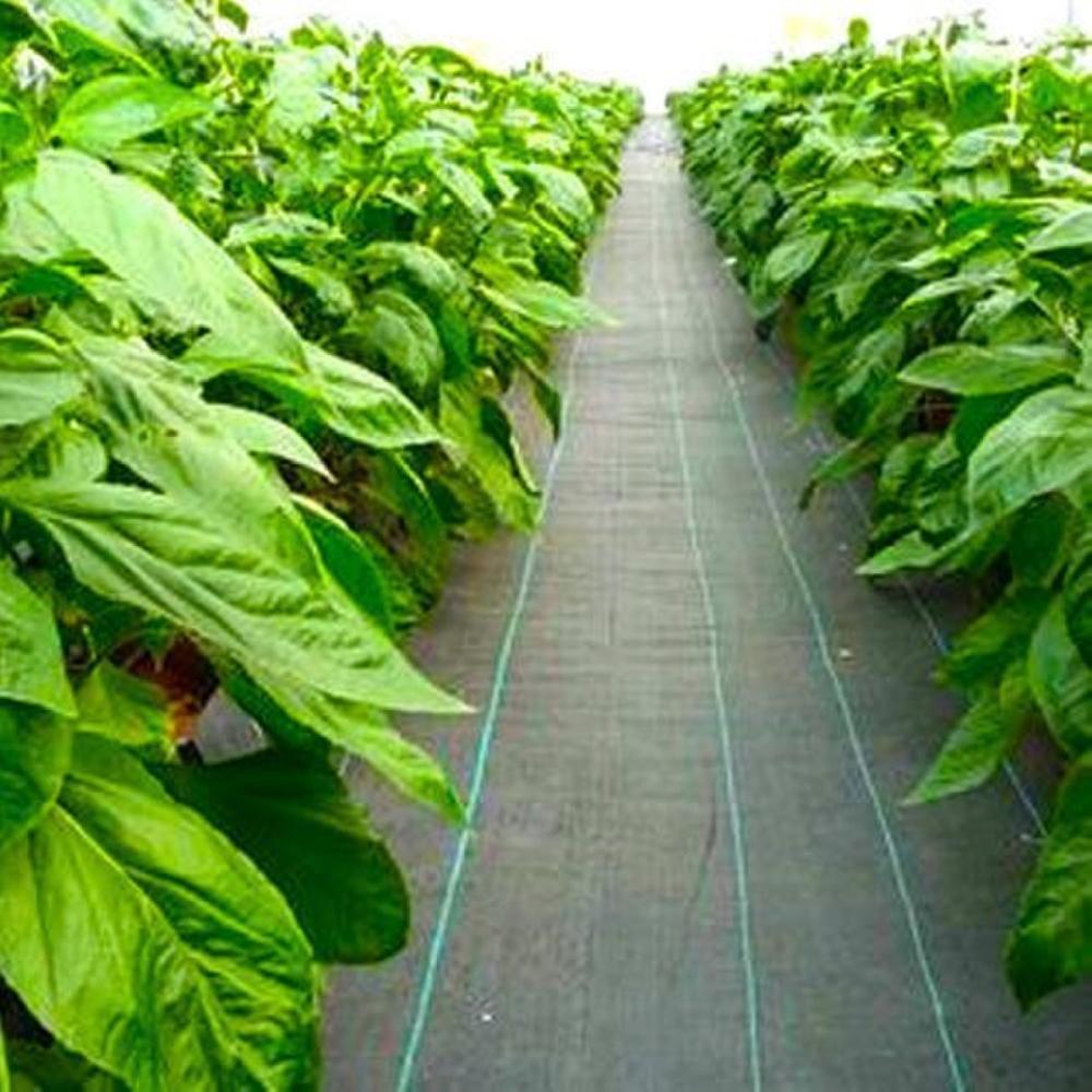 Factory Greenhouse White Anti Grass PE PP Woven Fabric Ground Cover Weed Mat