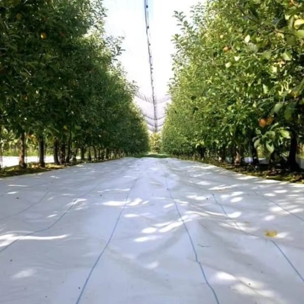 Reflective Mat For Apple Orchard 100gsm White Woven Weed Mat Anti Grass Fabric