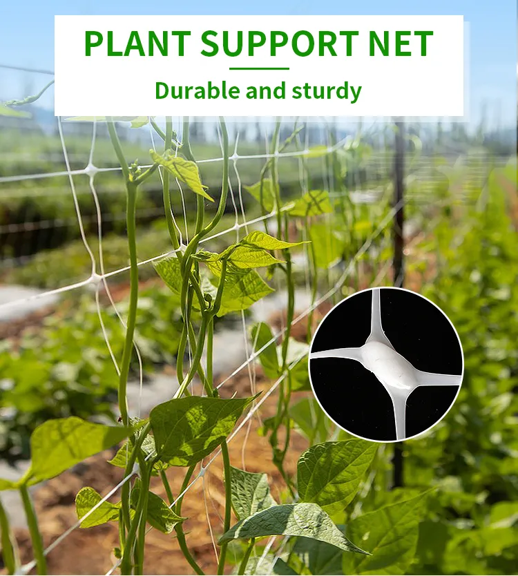 PP Plant Climbing Plant Trellis Netting Plant Support Net For Agriculture Garden