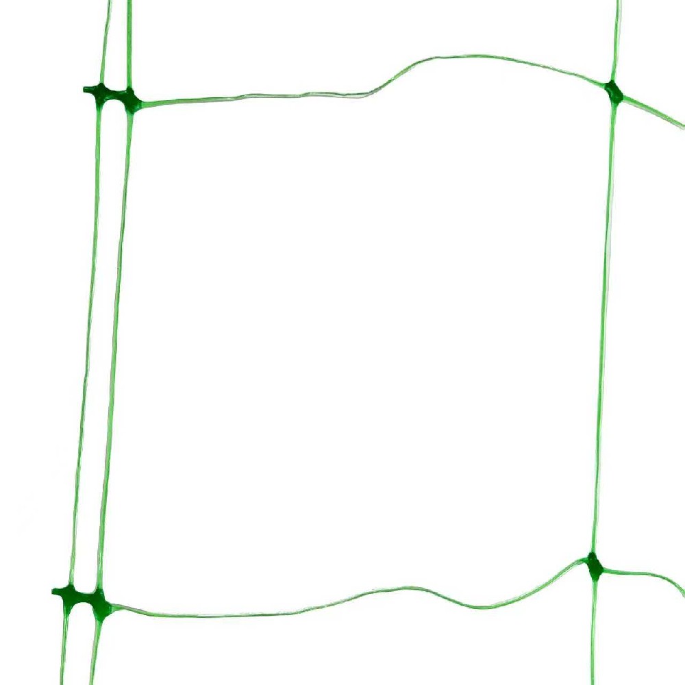Wholesale Garden Plants Vegetable Fruit Greenhouse Agriculture Plastic Climbing Net