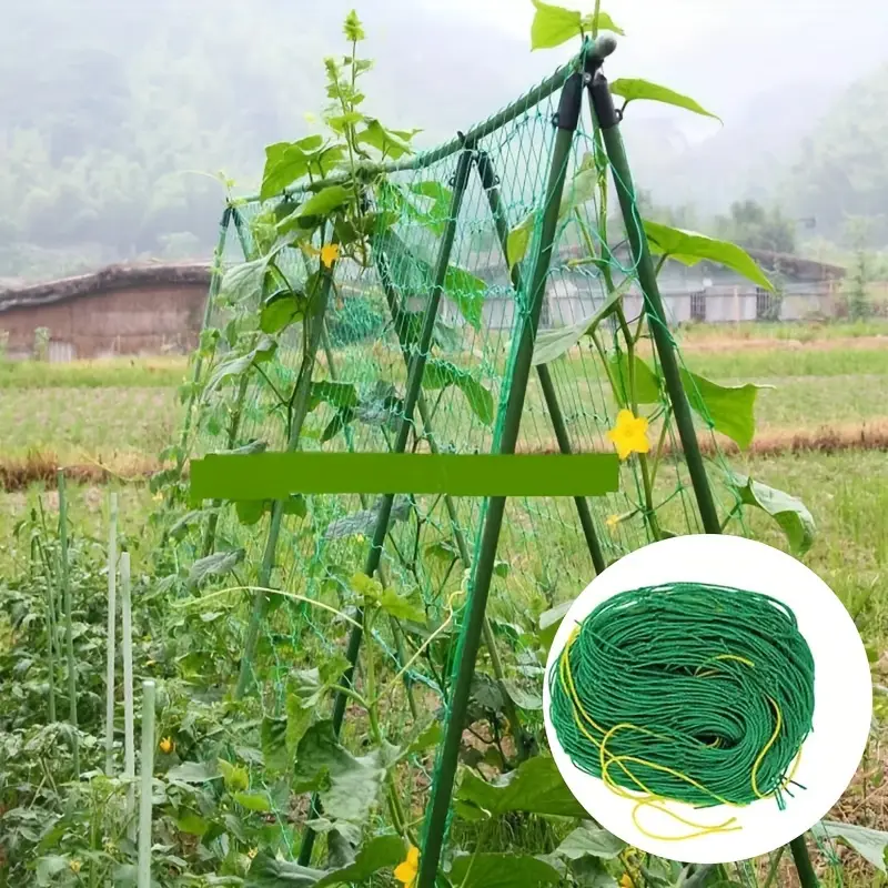 plant support net 24.png