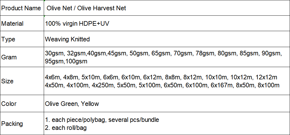 olive net 43.png