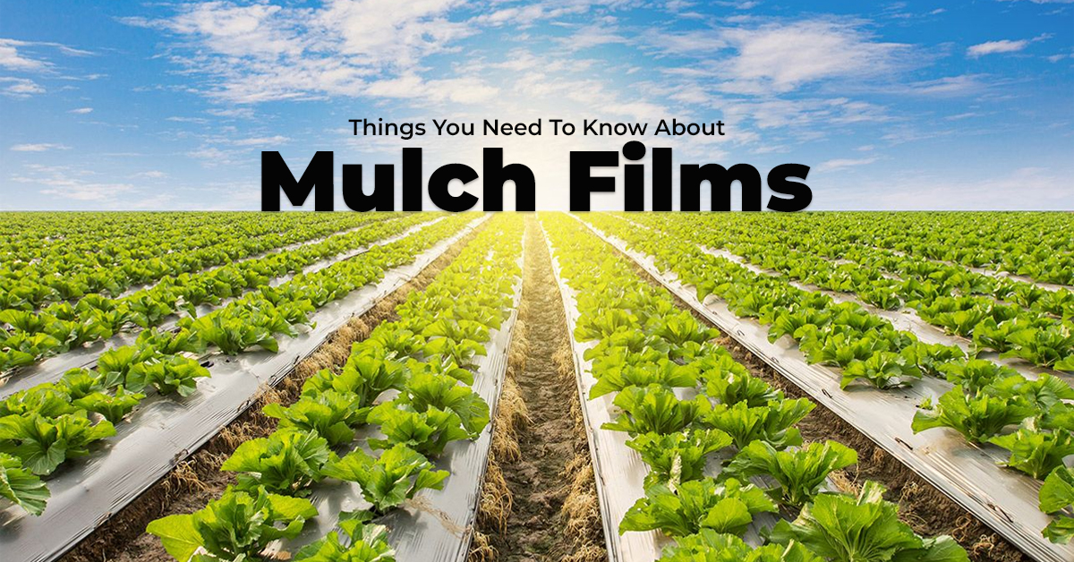 Mulch Film 8.png
