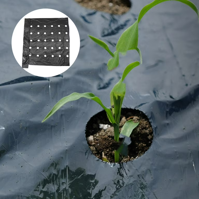 Black Prevent Grass Growth Agricultural Plastic Mulch Film Ground Cover