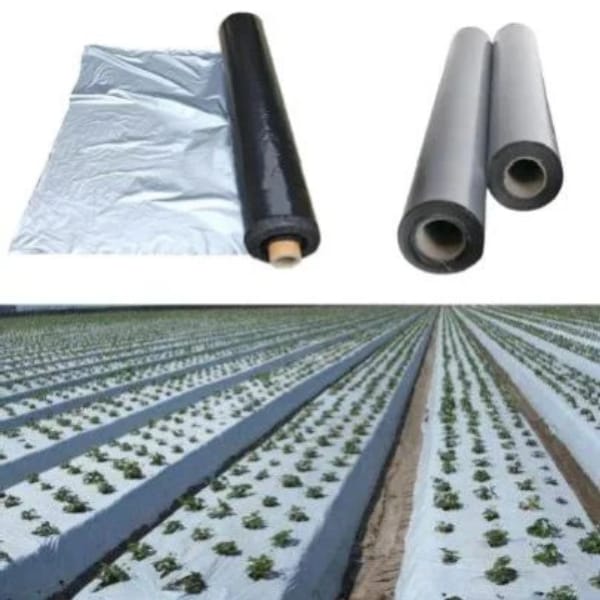 Mulch Film Plastic PE Ground Cover For Agriculture