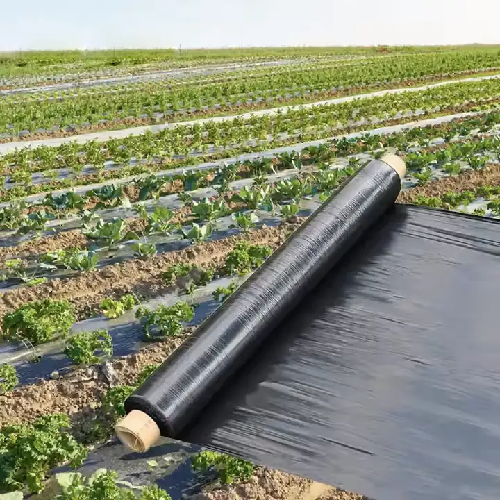 Agricultural Mulch Film