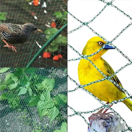 Anti Bird Net