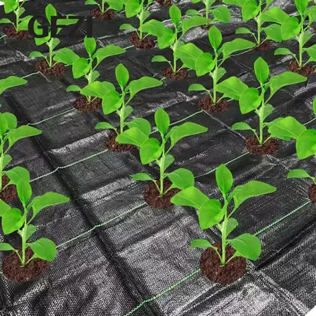 Ground Cover/Weed Mat