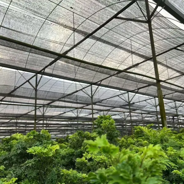 Economical Shade Net Solution For All Shading Season Farmland Sunshade