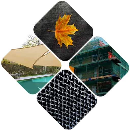 Hefei Daxi Plastic Technology Co.,Ltd.